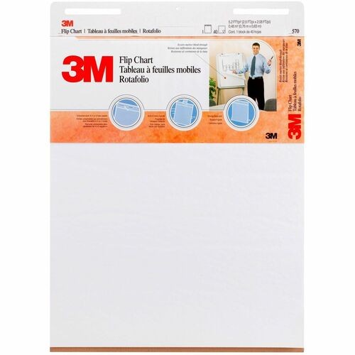 Professional Flip Chart, Unruled, 25 x 30, White, 40 Sheets, 2/Carton