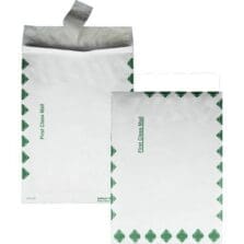 Tyvek Open-End Envelope, 1st Class, 10"x13"x1-1/2", 100/CT, WE