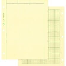 Computation Pad, 5"x5" Quad, 8-1/2"x11", 100 Sheets, Green